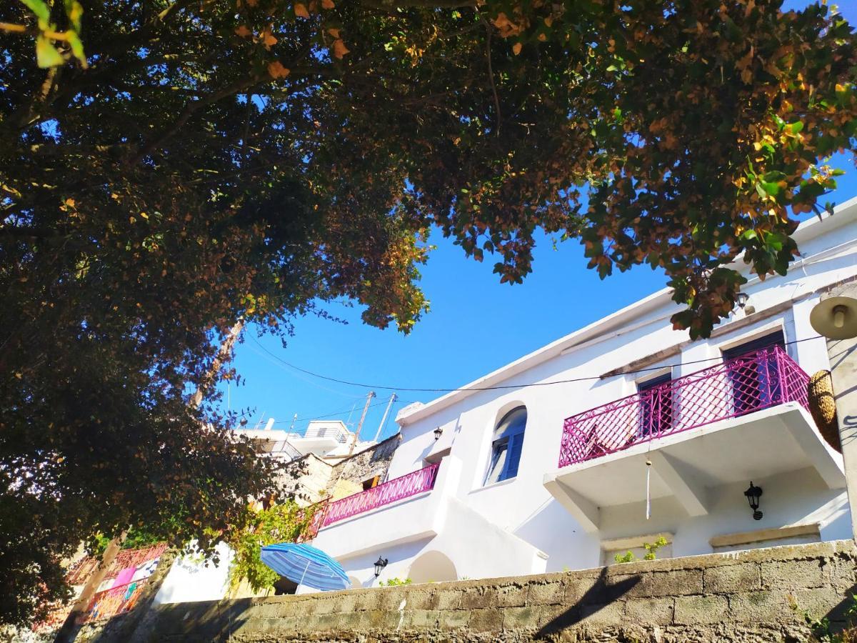 Koronos Traditional Family House, Ground Floor With Yard מראה חיצוני תמונה